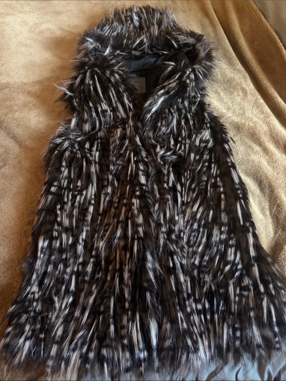 Black and Gray Teddy Jacket Plush Cozy hooded vest  euro 40 fits s to M